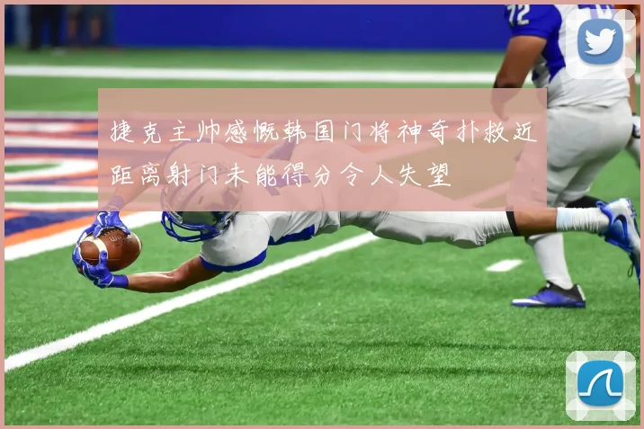 捷克主帅感慨韩国门将神奇扑救近距离射门未能得分令人失望